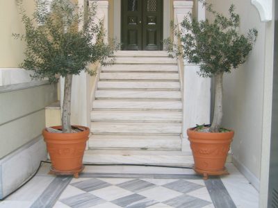 Marble Entrance & Steps