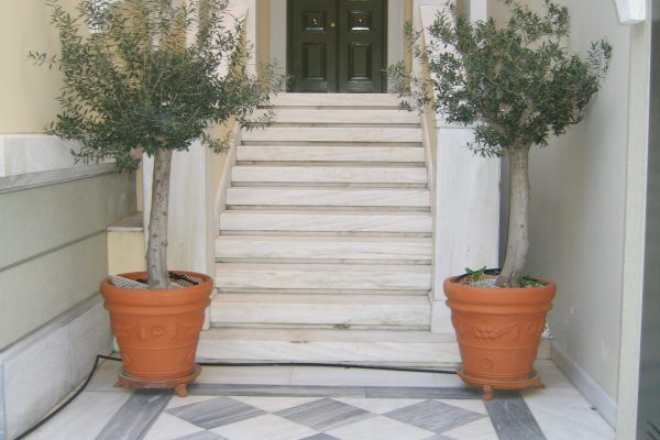 Marble Entrance & Steps Marble Entrance & Steps